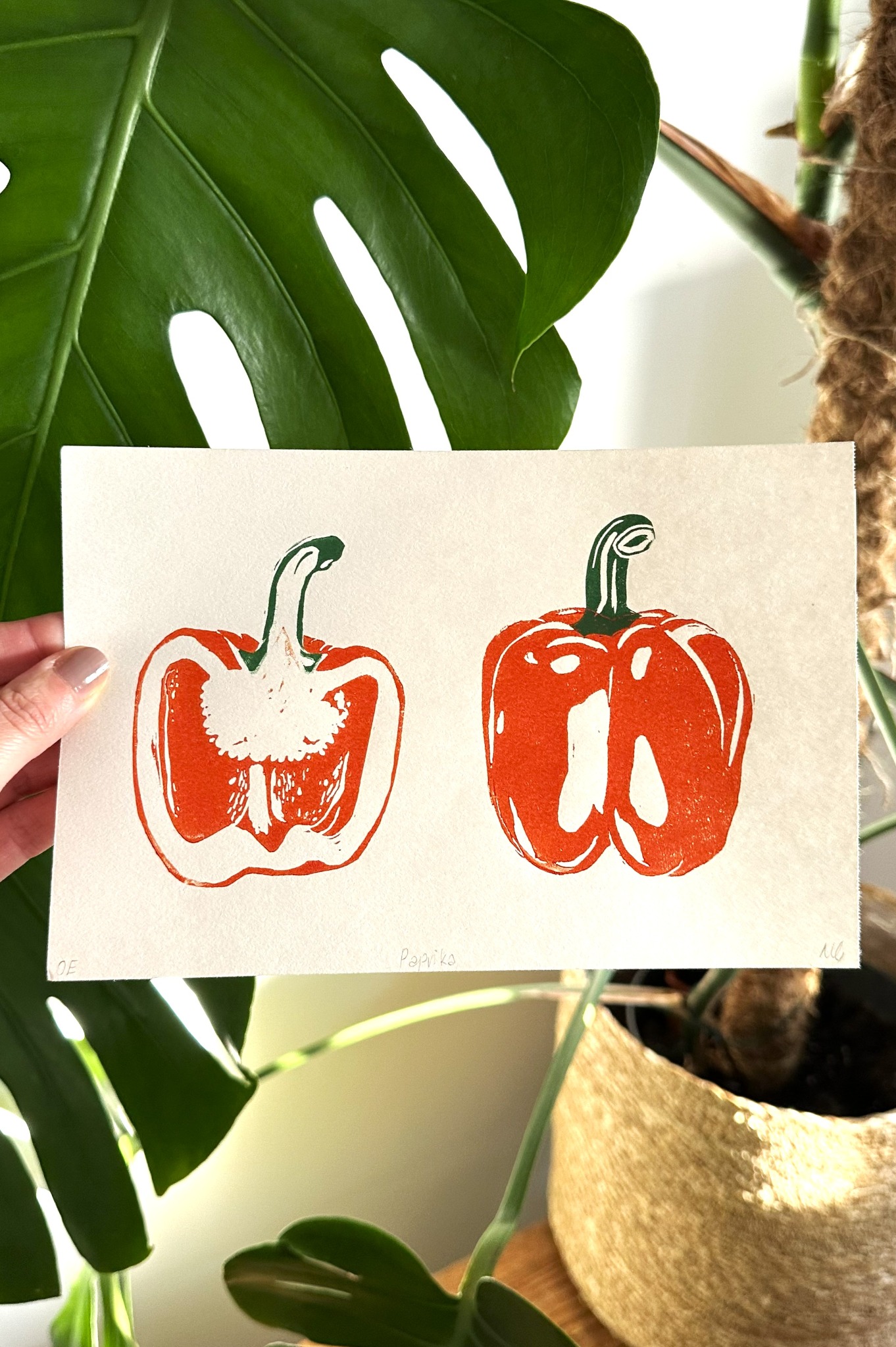 Paprika