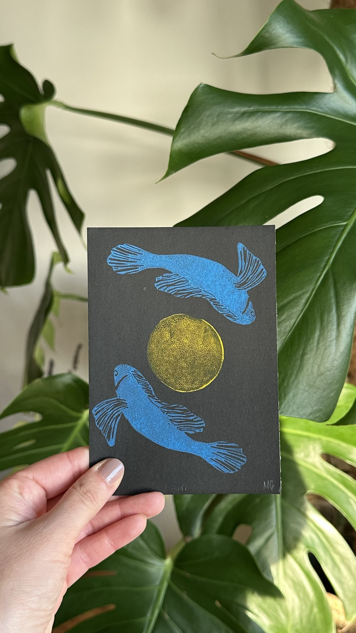 Fish & Moon — Variante