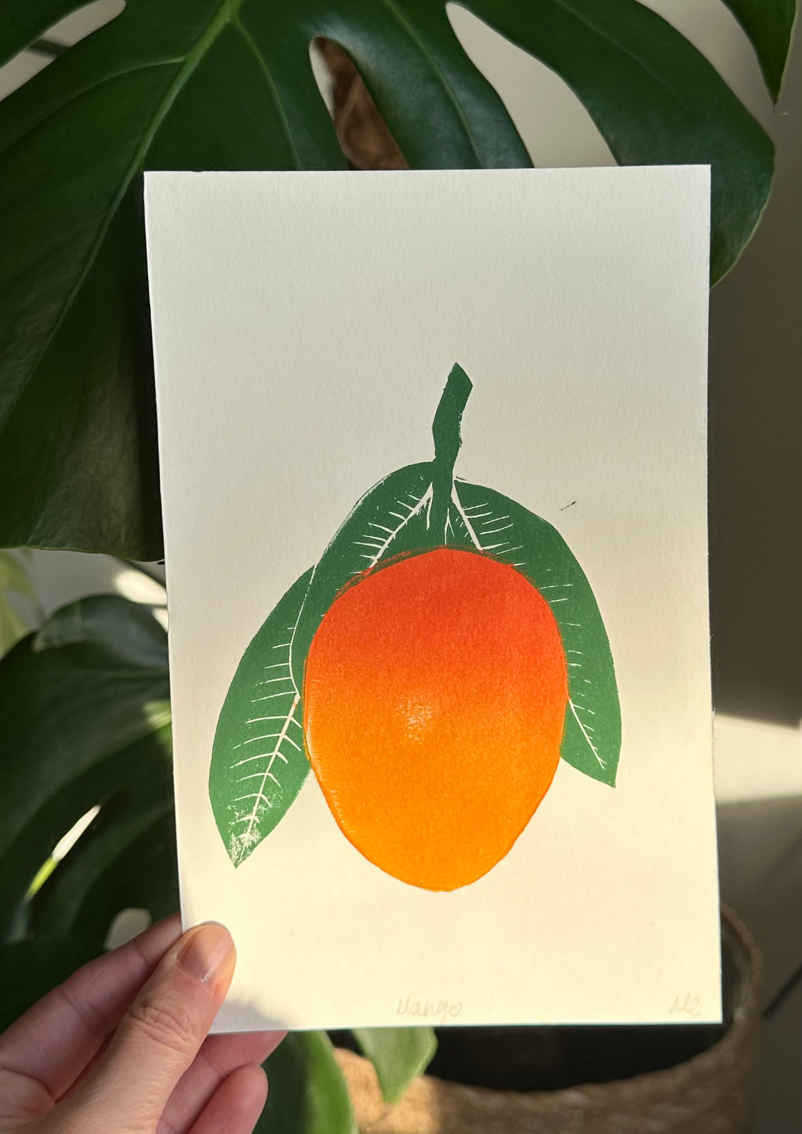 Mango — Detail 3