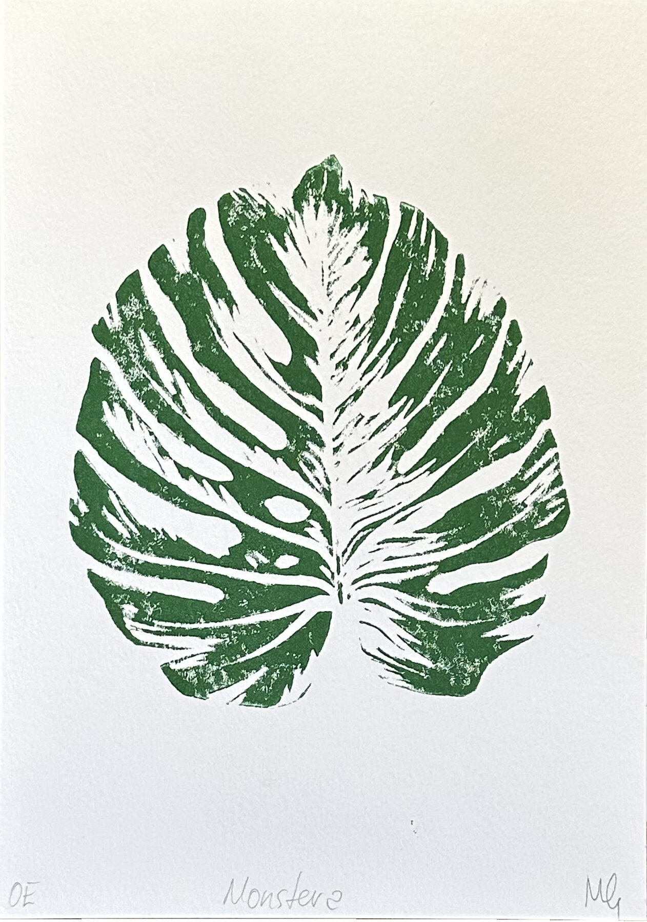 Monstera — Detail