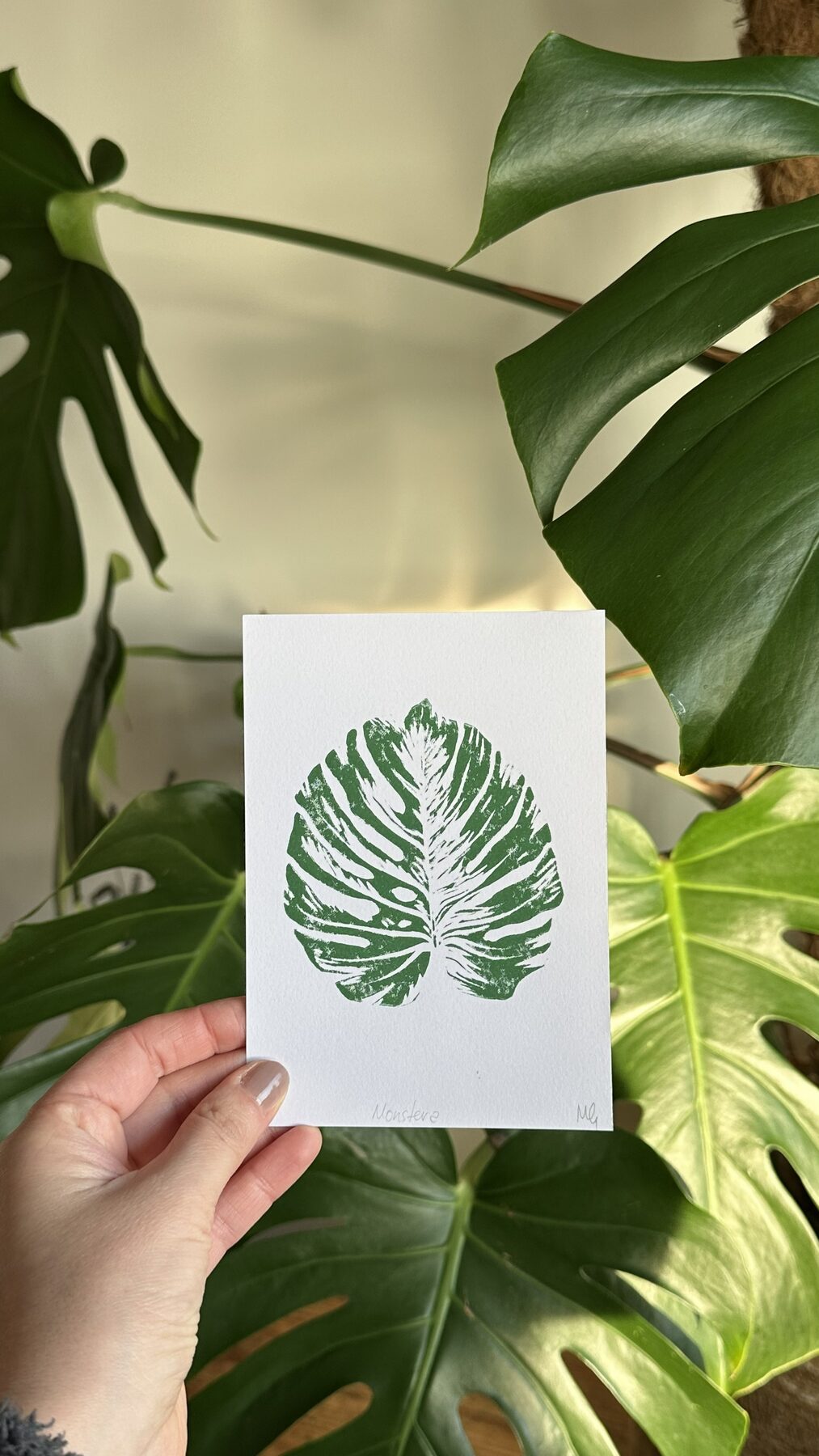 Monstera zwischen Pflanzen
