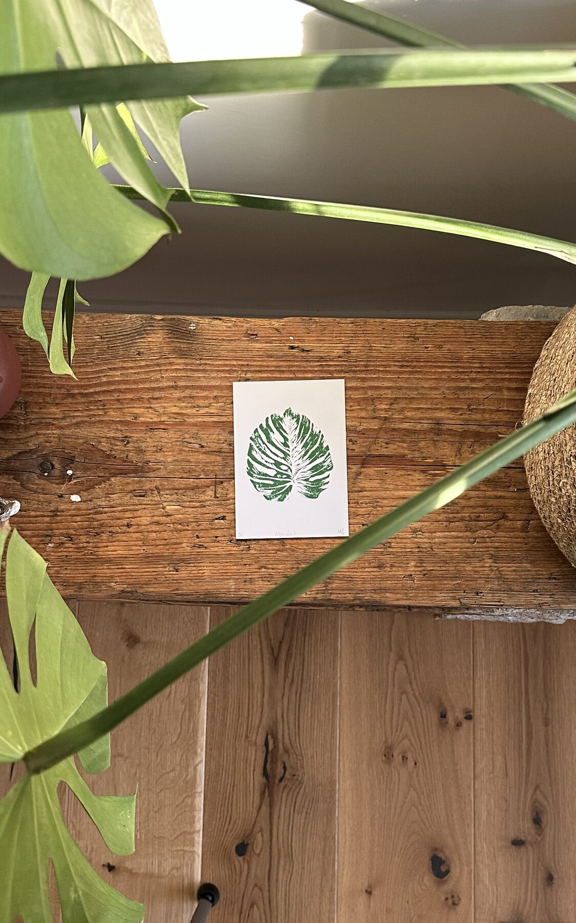 Monstera auf Holz