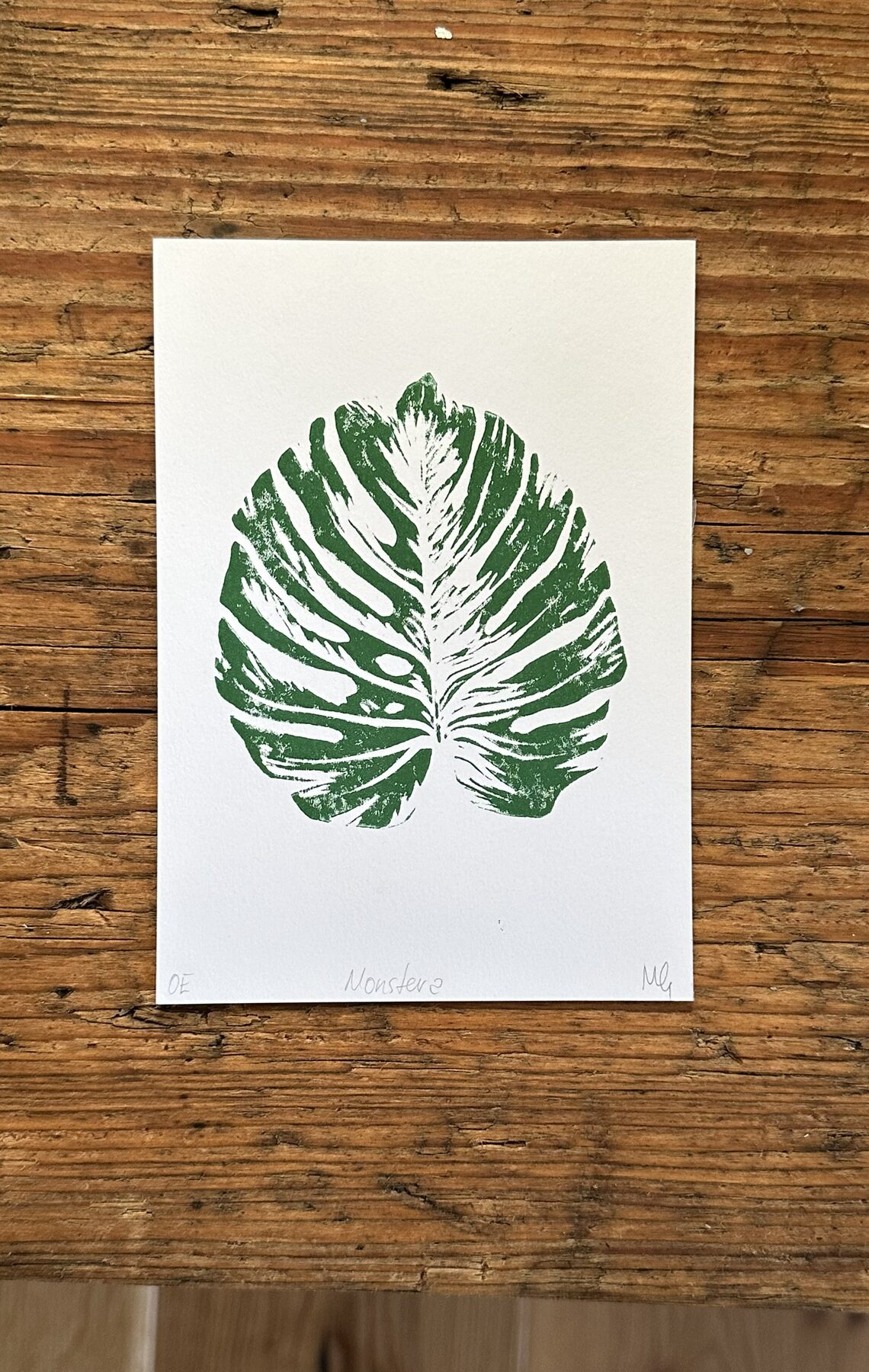 Monstera