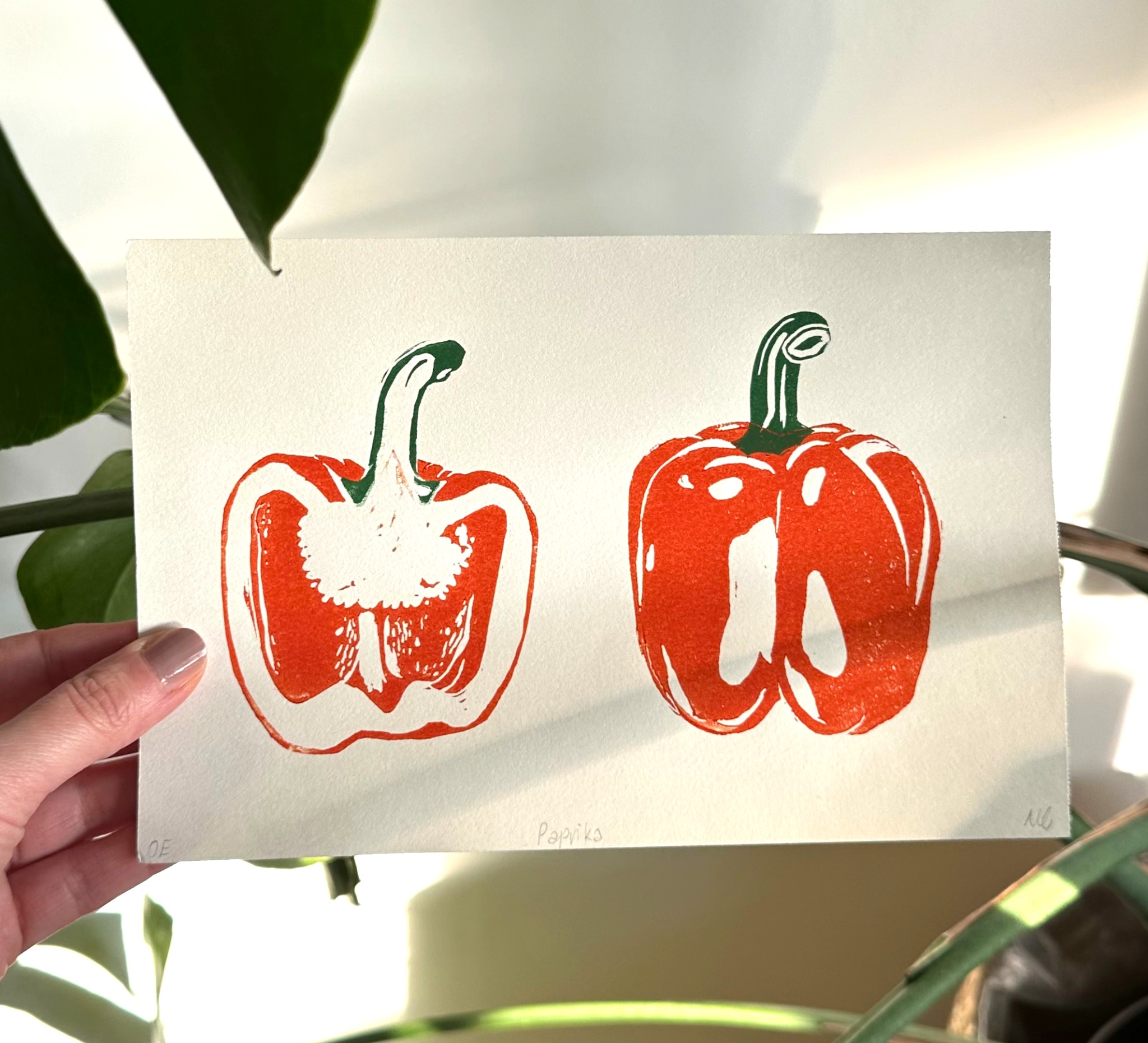 Paprika — Detail