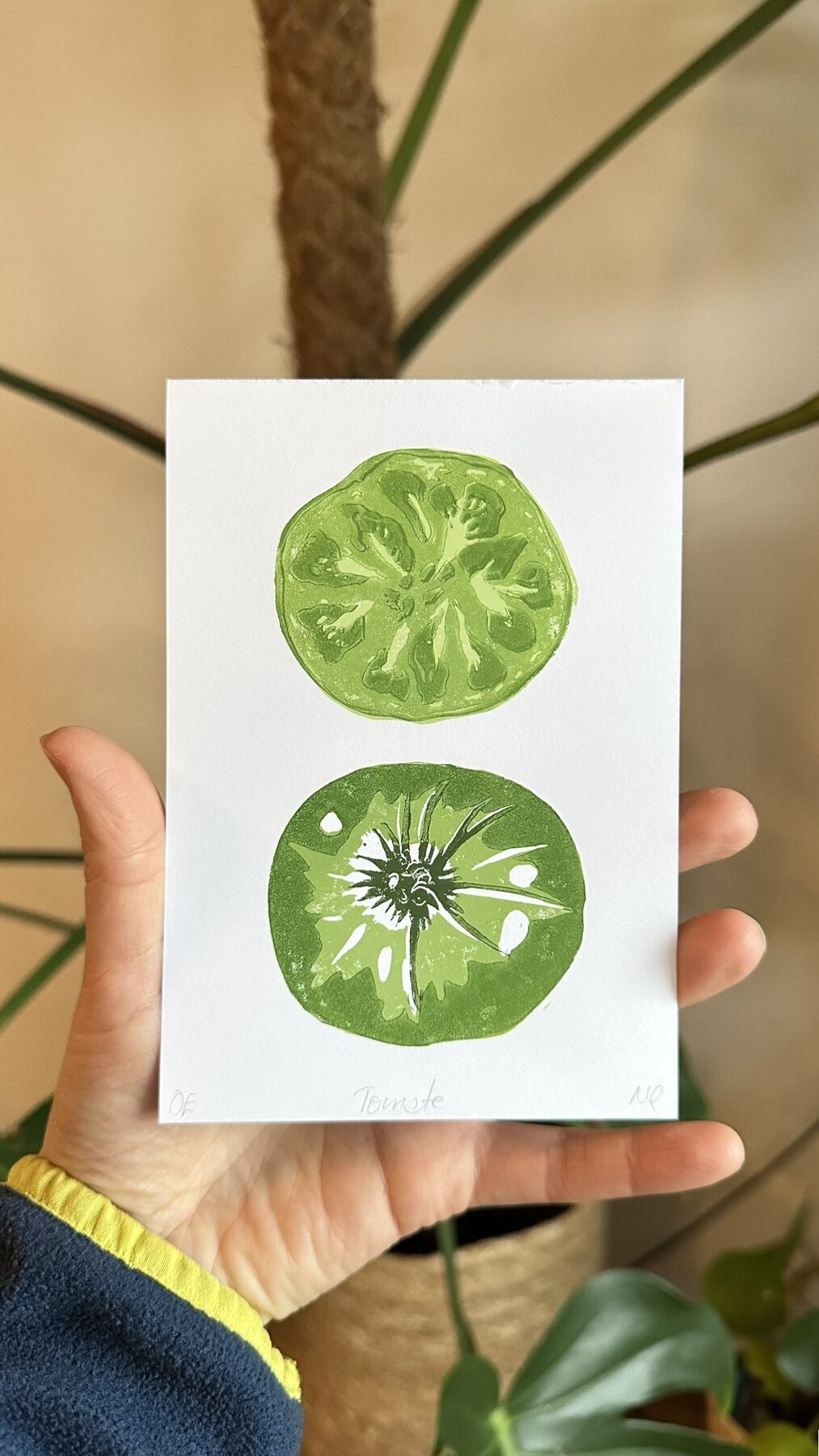 Grüne Tomate in der Hand